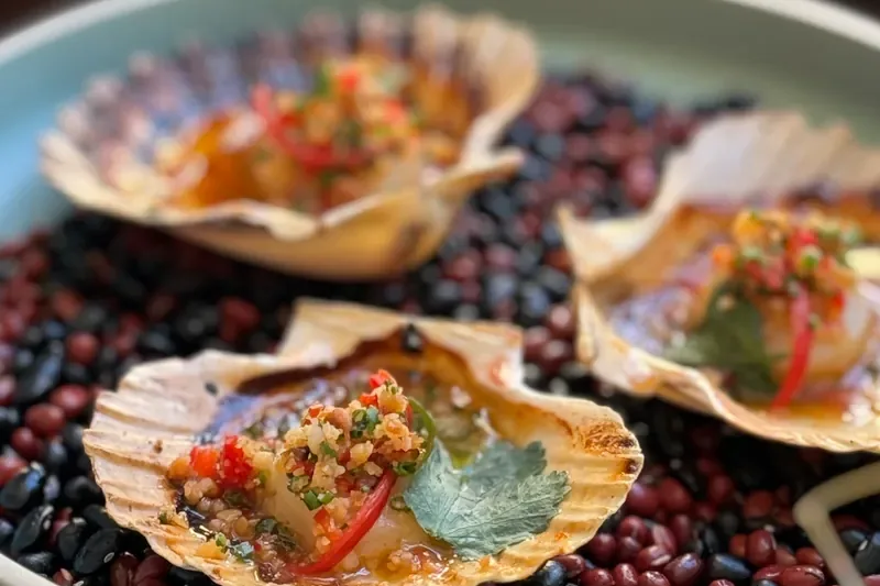 Coquilles Saint-Jacques grillées sur un lit de haricots noirs et rouges