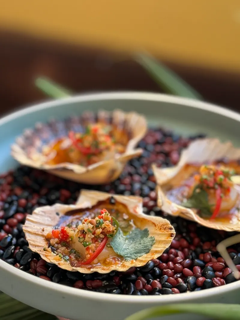 Coquilles Saint-Jacques grillées sur un lit de haricots noirs et rouges