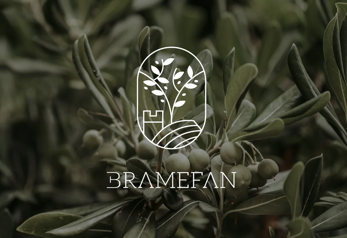 Logo Bramefan, déclinaison olivier avec tour et champs, sur une photo de branche d'olivier