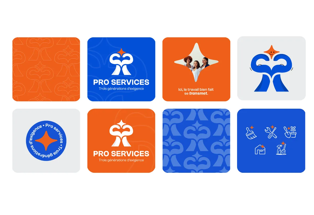 Univers graphique Pro Services : logo, motifs, mascotte et pictogrammes en orange et bleu